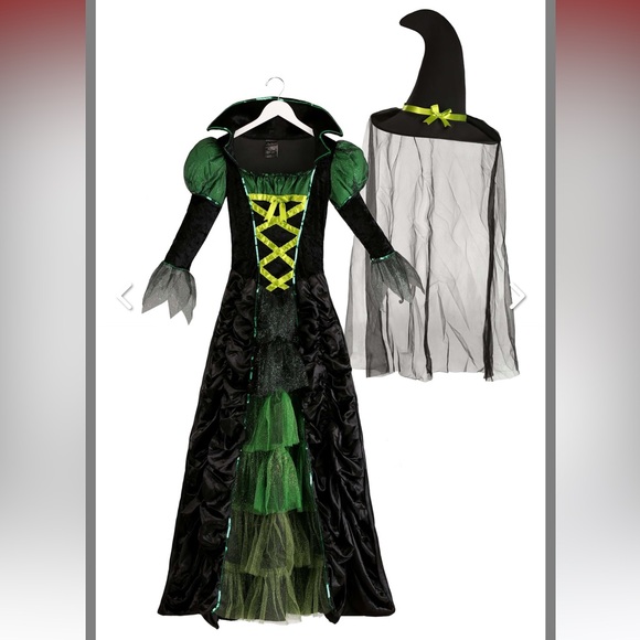 Woman’s Storybook Witch Costume - Picture 3 of 7